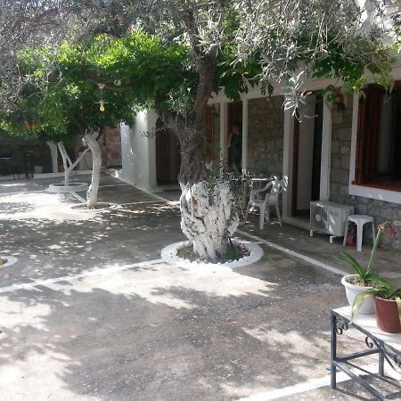 Oliver trees Poros Town Eksteriør bilde
