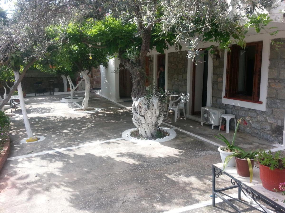 Oliver trees Poros Town Eksteriør bilde