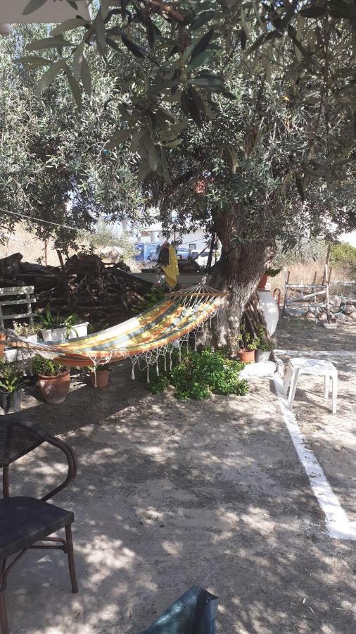Oliver trees Poros Town Eksteriør bilde